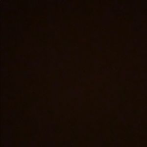 Meet your Posher, Carmen